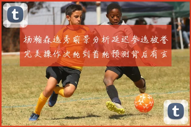 杨瀚森选秀前景分析延迟参选被誉完美操作次轮到首轮预测背后有玄机