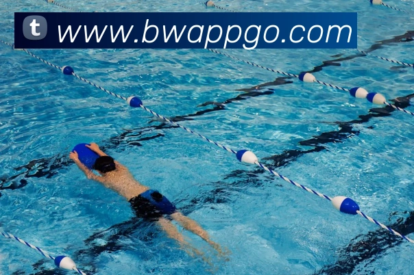 必威Betway平台生态图