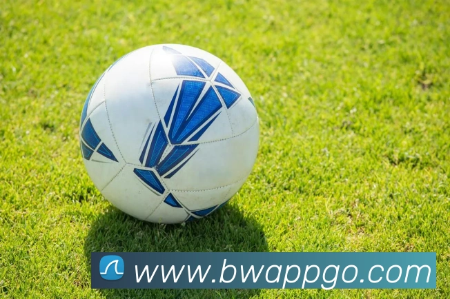 App Interface Preview