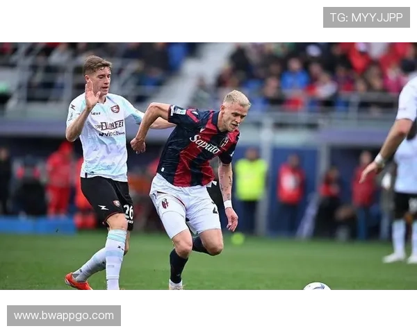 意甲所有球队外号：解读意甲各大球队的外号与历史背景